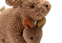 Jouet d'Activités - Kangaroots - JOLLEIN 061-001-68160 8717329406315