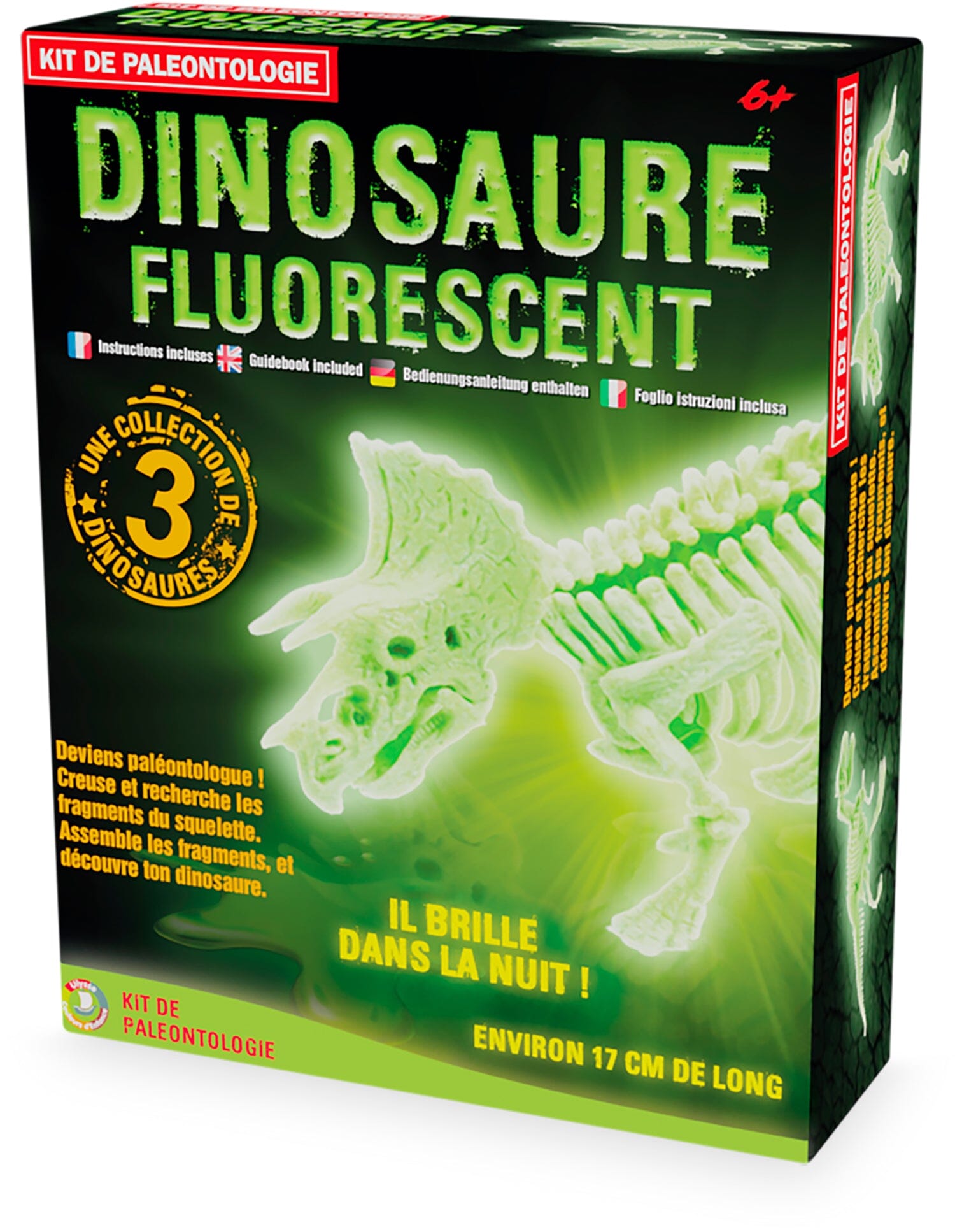 Kit paleo 3 squelettes dino fluo - ULYSSE 2831 3760111714926