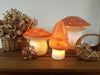 Lampe champignon petite terra- egmont 360208TE