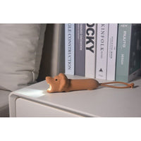 Lampe de poche lion - WINKEE 18549 4260767643223