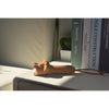 Lampe de poche lion - WINKEE 18549 4260767643223