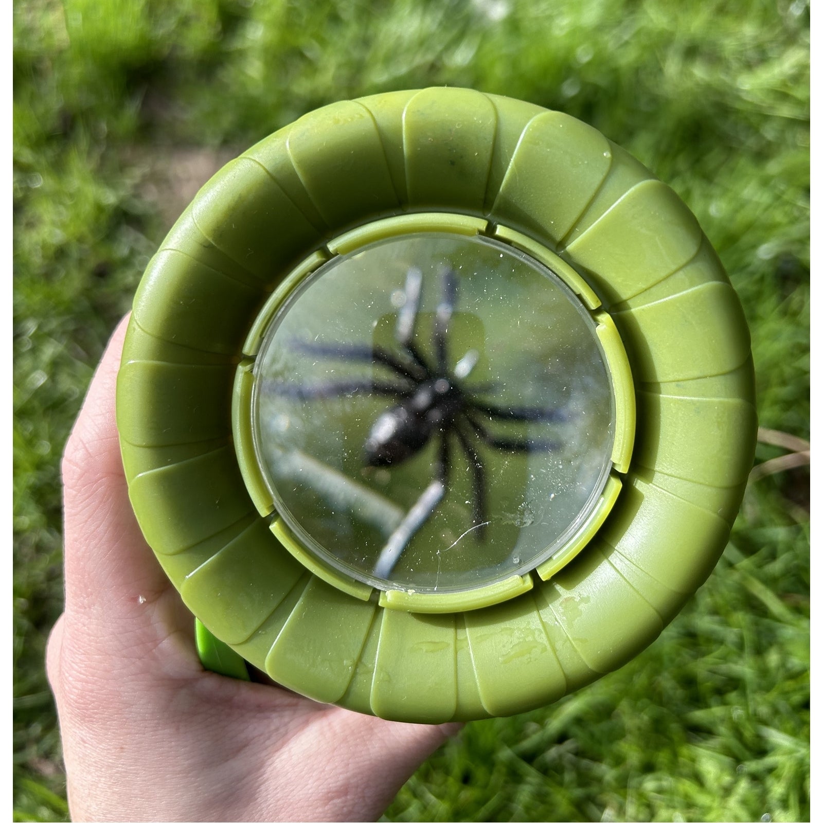 Méga boîte loupe Découverte du monde de Navir – vue 3