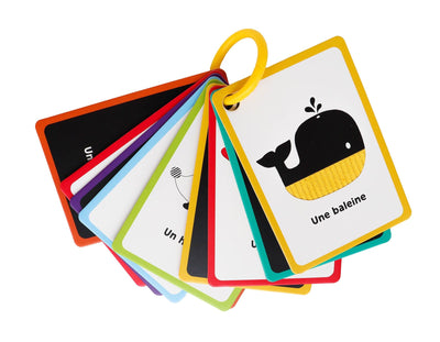 Mes premières cartes pour éveiller bébé- AUZOU EV240028-2 9791039560191