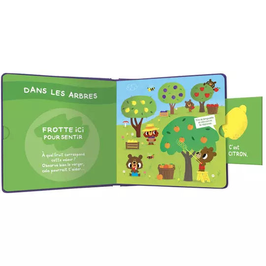 Mon livre des odeurs et des couleurs-Mon cherche et trouve les fruits AUZOU 9782733874073