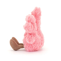 peluche amuseables coral corail - JELLYCAT A6CRL 670983161908