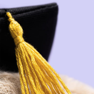 peluche Bashful Bunny Graduation Outfit - jellycat