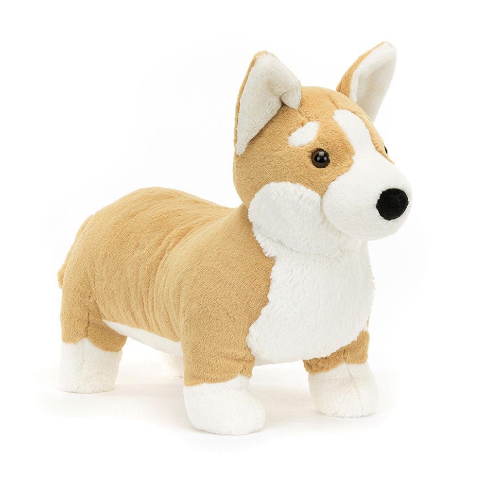 Peluche Betty Corgi big - JELLYCAT BET1C 670983146417