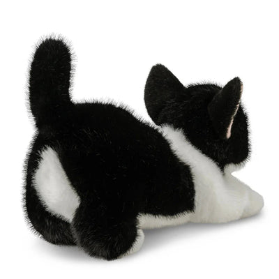 peluche borealis chat domino tuxedo - AURORA 61613 5034566616134