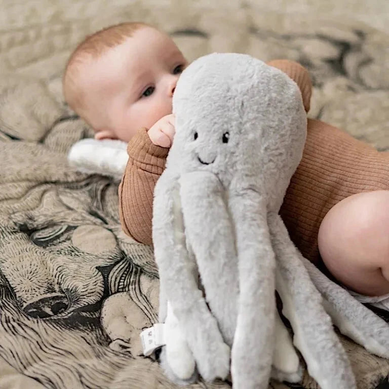 Peluche Bruit Blanc rechargeable Olly - Flow FL1675027 8717953275592