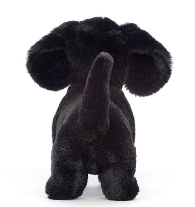 Peluche Freddie Sausage dog small - JELLYCAT FR6SDN 670983143454