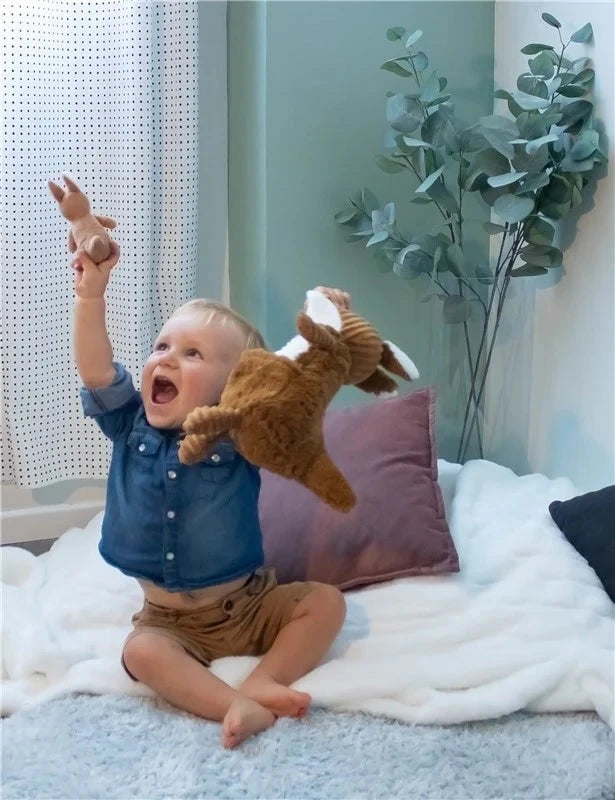 Peluche kangourou Allezou maman et son bébé cassonade Les Ptipotos - deglingos 73000 4897018367906