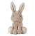 Peluche Lapin - Baby Bunny - 15cm - LITTLE DUTCH LD8850 8713291888500