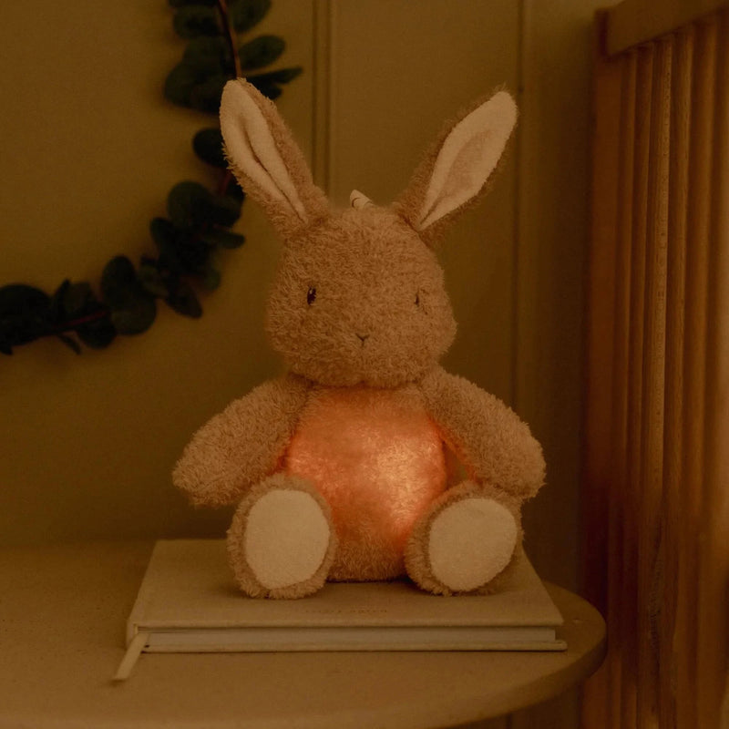 Peluche musicale et lumineuse lapin - LITTLE DUTCH LD8441 8713291884410