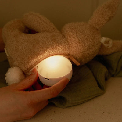 Peluche musicale et lumineuse lapin - LITTLE DUTCH LD8441 8713291884410