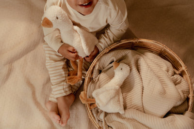 Peluche Oie - Newborn - 17 cm - LITTLE DUTCH LD8404 8713291884045