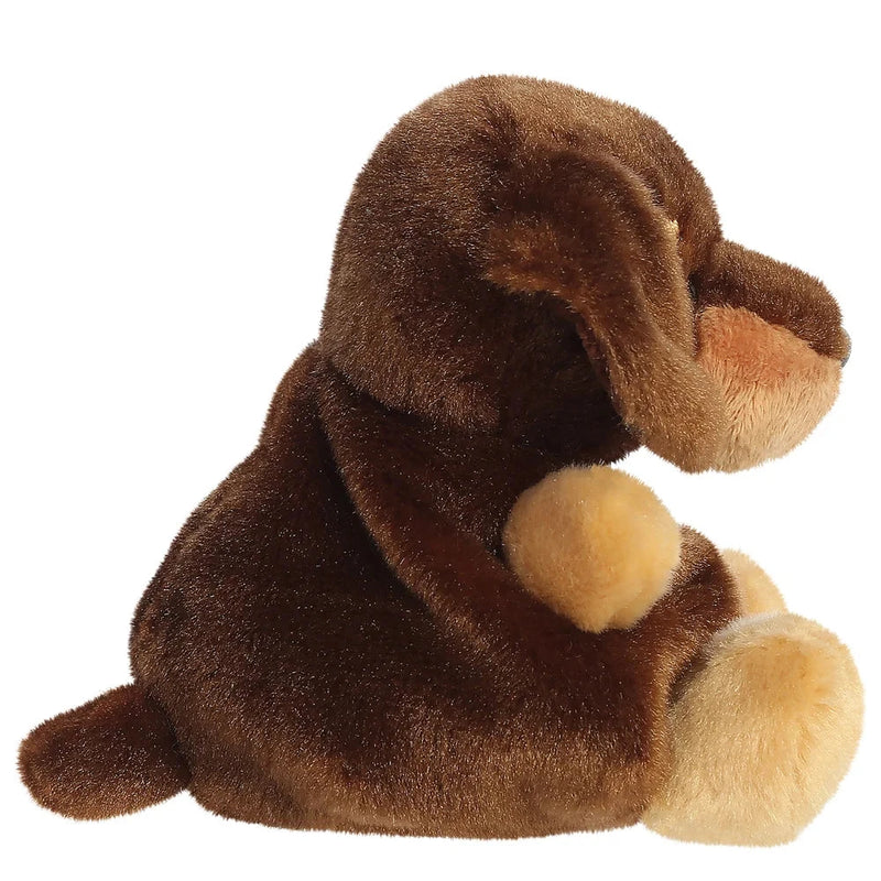 peluche palm pals teckel houdini dachshund - AURORA 