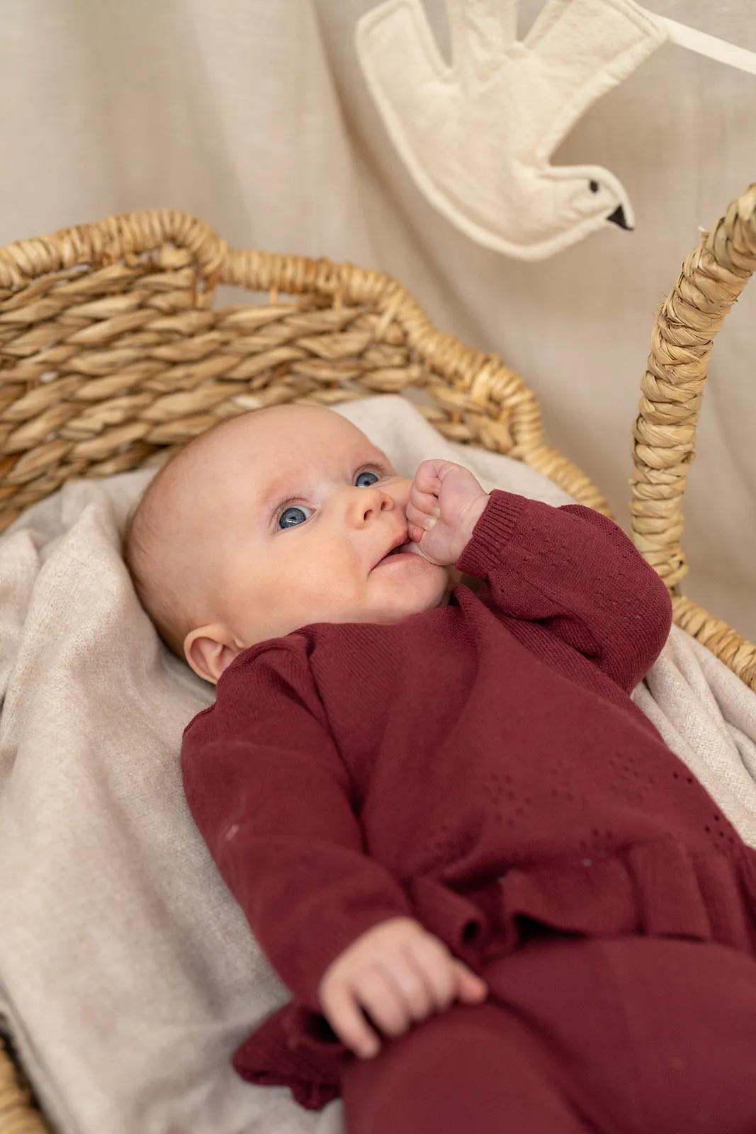 Pull bébé à volant rouge foncé d’A Tiny Story – vue 3