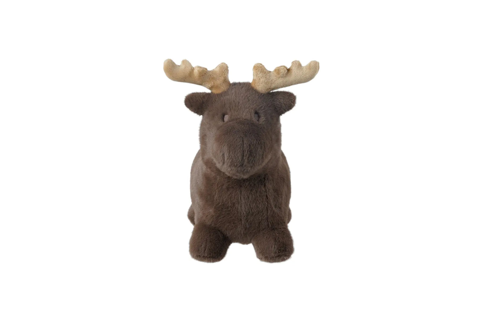 Animal sauteur