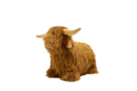 Soft Bouncy animal sauteur Vache Highland - Wild & Soft WS4853 5425023077764