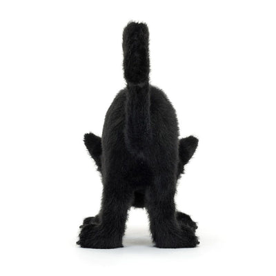 Spookipaws cat- JELLYCAT XAN3BC 670983158496