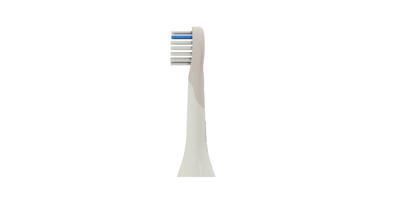 Têtes de rechange Zoo Toothbrush The Zoofamily, lot de 2