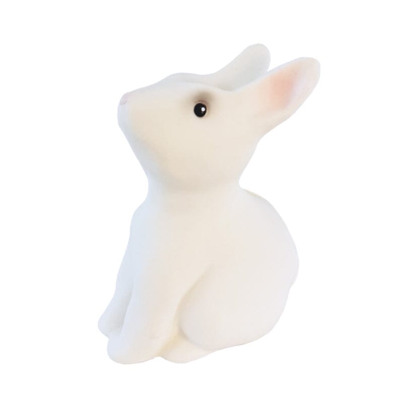 TIRELIRE LAPIN - EGMONT 314705 5420023044723