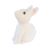 TIRELIRE LAPIN - EGMONT 314705 5420023044723