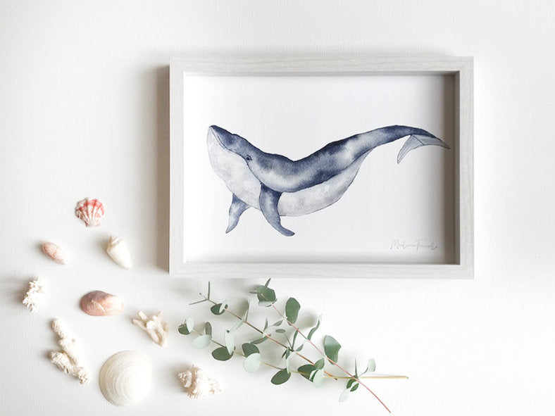 Aquarelle en cadre Dany - Baleine - Marlene Fancelli Art dani 1234512353