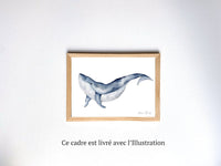 Aquarelle en cadre Dani Baleine - Merlene Fancelli Art dani 1234512353