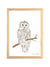 Aquarelle en cadre Edwige Chouette - Marlene Fancelli Art Edwige 123451236514