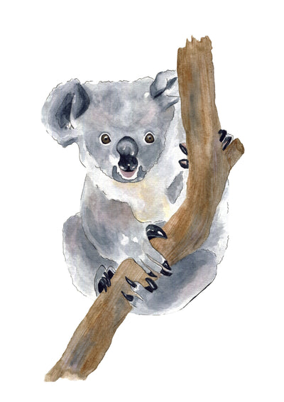 Aquarelle en cadre Eli Koala a4 - Merlene Fancelli Art eli 1234512346