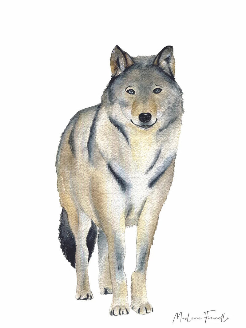 Aquarelle en cadre Milo Loup - Marlene Fancelli Art Milo 1234512367