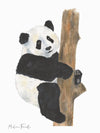 Aquarelle en cadre Romeo Panda - Merlene Fancelli Art romeo 1234512349