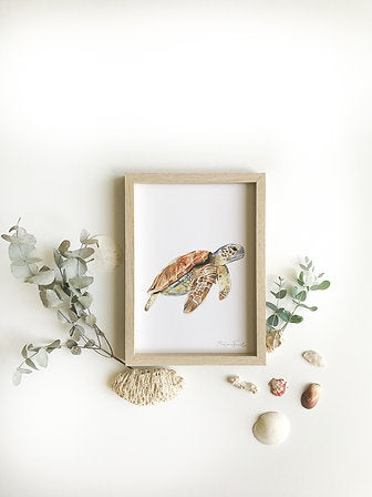 Aquarelle en cadre Sam Tortue - Merlene Fancelli Art sam 1234512352