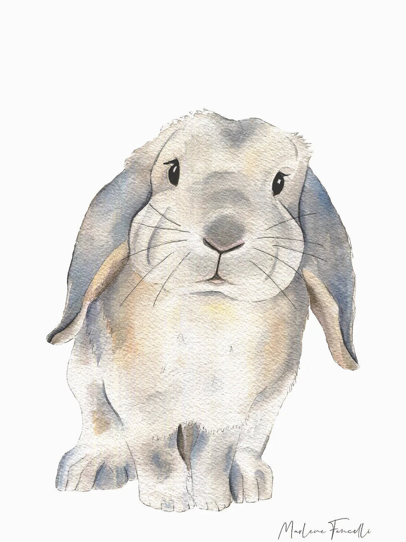 Aquarelle en cadre Zoupi Lapin Bélier - Marlene Fancelli Art Zoupi 1234512366