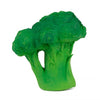 Brocoli de dentition - Oli&Carol 9813 85968284