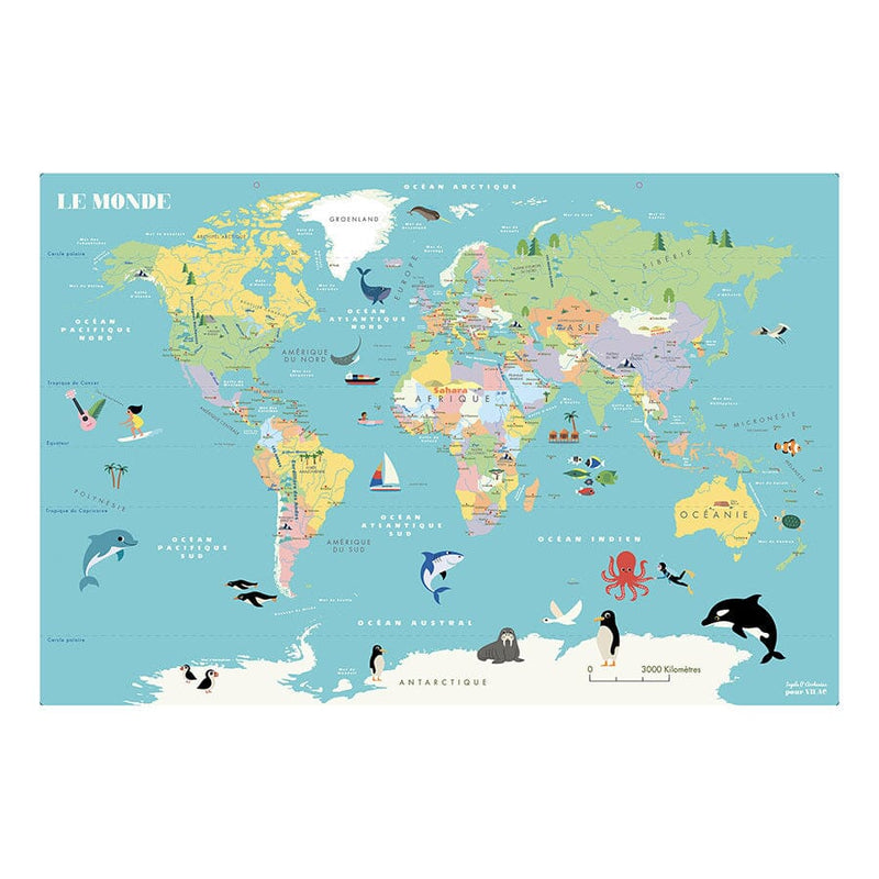 Carte du Monde magnétique Ingela P.Arrhenius - vilac 7612 3048700076120