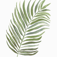 Copie de Aquarelle en cadre de palme - Merlene Fancelli Art de palme 1234512362
