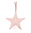 Coussin musical étoile Wild Flowers Pink - LITTLE DUTCH TE20321050
