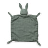 Doudou lange lapin peppermint - LIEWOOD lw12379 44873884