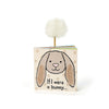 If I Were a Bunny Board Book - JELLYCAT BB444BB 670983101706