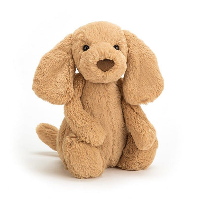 Peluche chiot Bashful Toffee Puppy small - JELLYCAT BASS6TPUS 670983082906