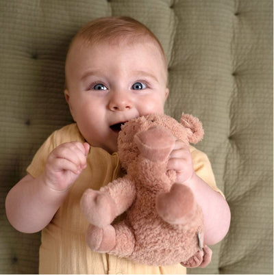 Peluche cochon Little farm - LITTLE DUTCH LD8828 8713291888289