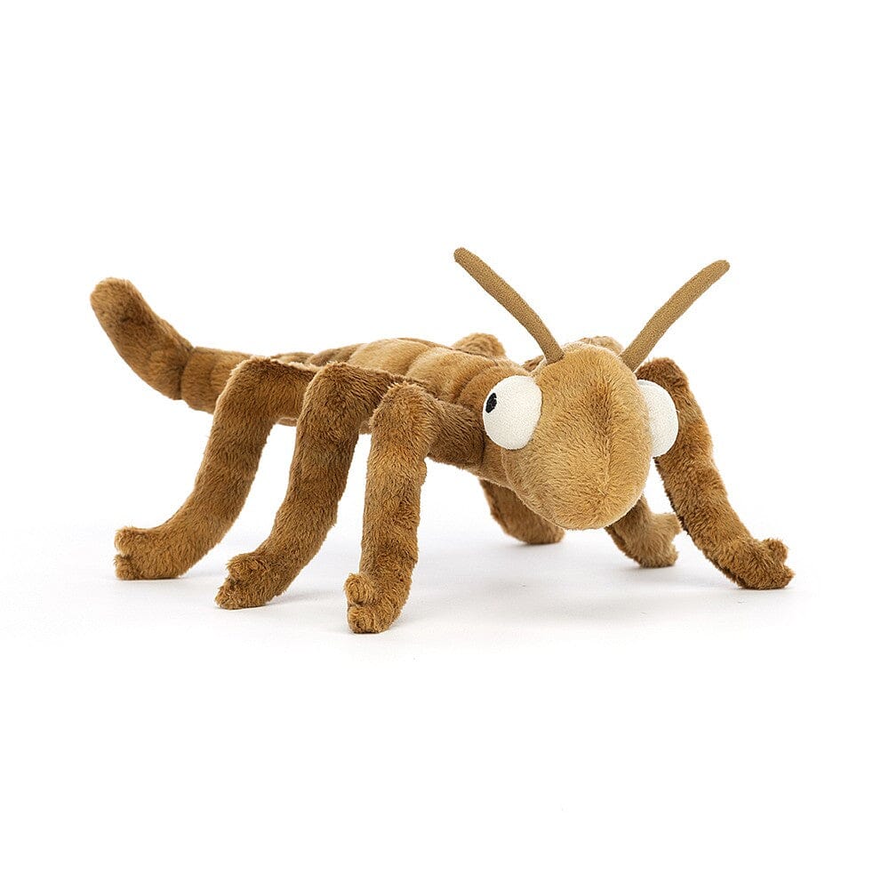 Peluche insect phasme - JELLYCAT stan3s 670983145137