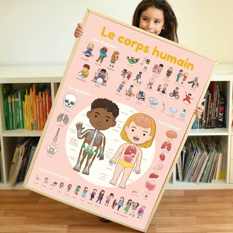 Poster pédagogique le corps humain (1 m x 68 cm)- poppik dis011 3760262412221
