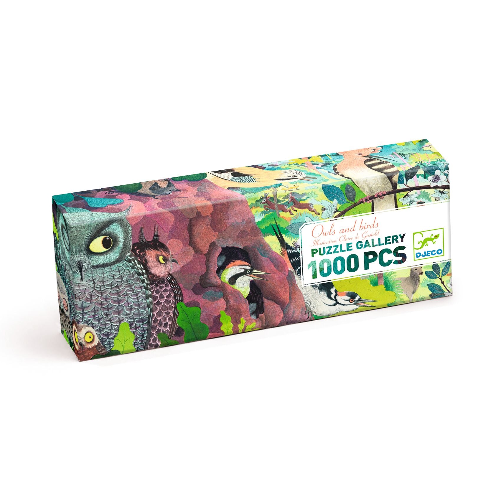 puzzle gallery Owls and Birds - DJECO dj07644 3070900076440