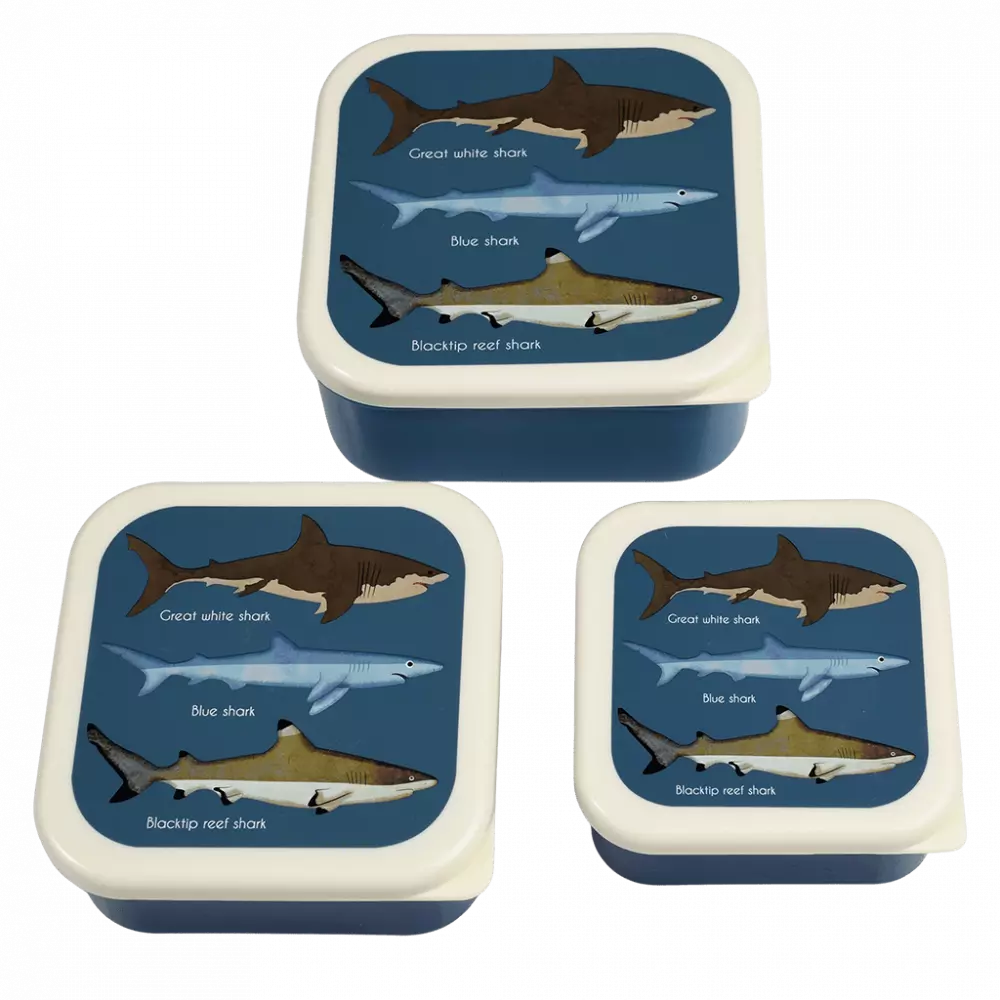 set de 3 boites à goûter sharks- REX London 29497 5027455437552