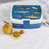 Sharks lunch box avec plateau - REX London 29500
